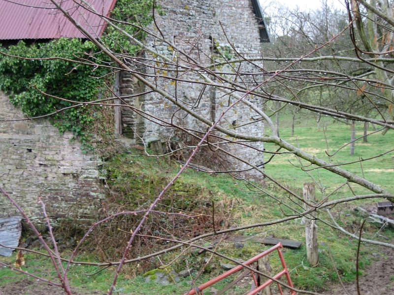 017 20060330 ALIGNY VASSY 13.jpg